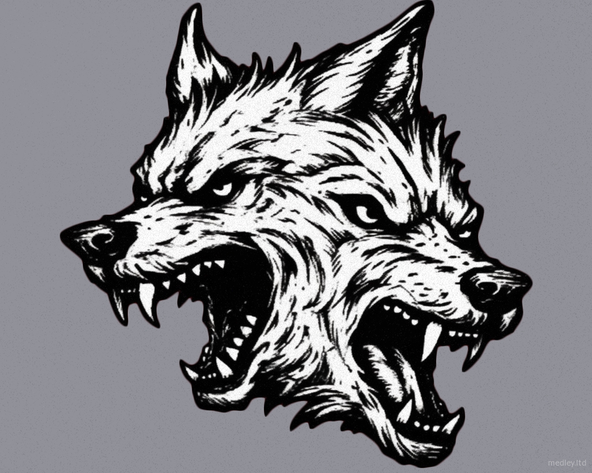 Inside You There Are Two Wolves Matt Medley inside-you-there-are-two-wolves-matt-medley