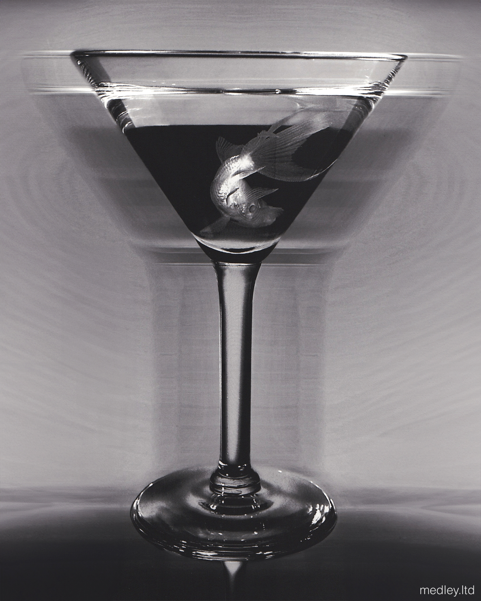 “Drink Like a Fish” photograph of a goldfish swimming in a martini glass. Black and white medium format film photography.